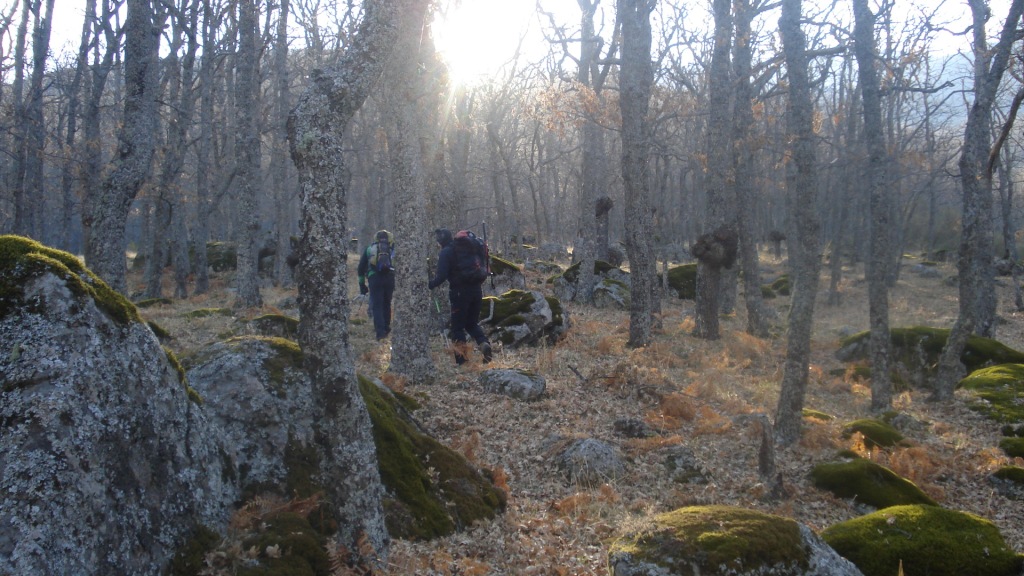 Subiendo entre un preciosos bosque de robles. Foto Pato.